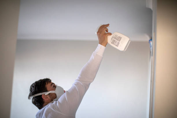 Best Preventive Mold Services in Marco Island, FL